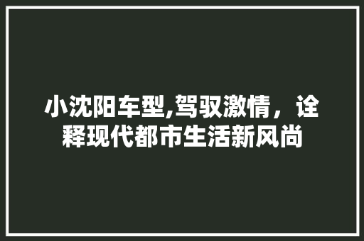 小沈阳车型,驾驭激情，诠释现代都市生活新风尚