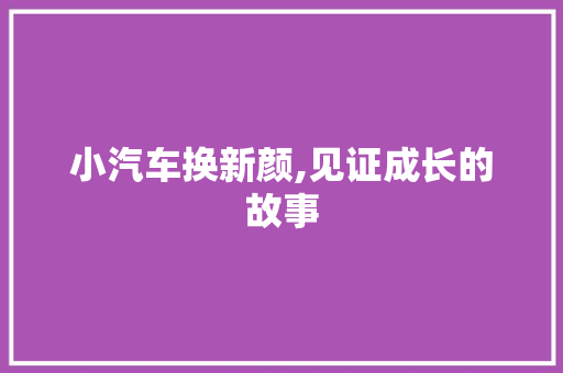 小汽车换新颜,见证成长的故事