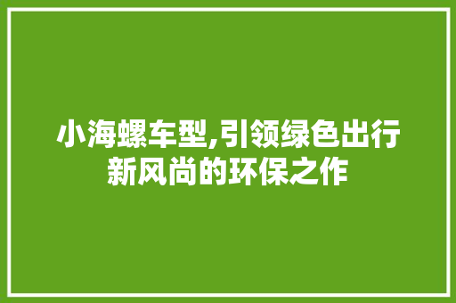 小海螺车型,引领绿色出行新风尚的环保之作