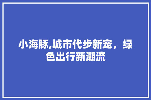 小海豚,城市代步新宠，绿色出行新潮流