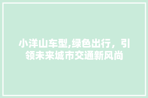 小洋山车型,绿色出行，引领未来城市交通新风尚
