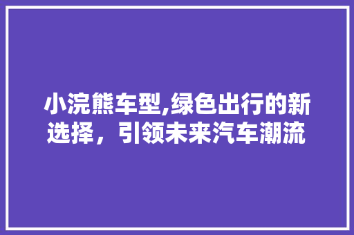 小浣熊车型,绿色出行的新选择，引领未来汽车潮流