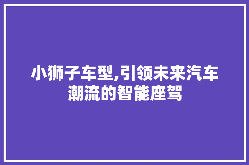 小狮子车型,引领未来汽车潮流的智能座驾