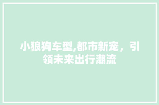 小狼狗车型,都市新宠，引领未来出行潮流