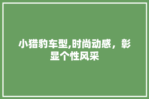 小猎豹车型,时尚动感，彰显个性风采