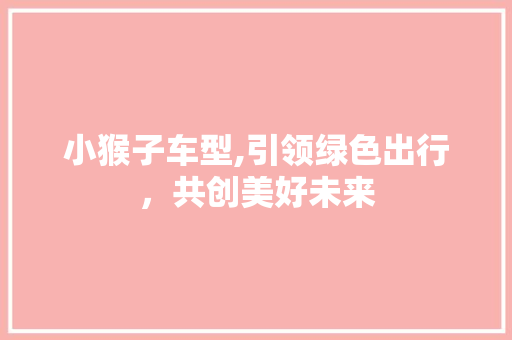 小猴子车型,引领绿色出行，共创美好未来