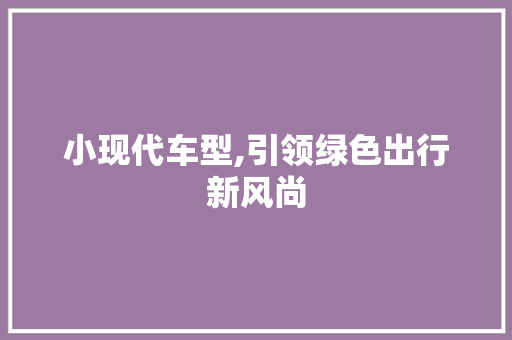 小现代车型,引领绿色出行新风尚