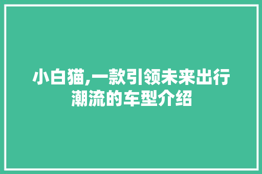 小白猫,一款引领未来出行潮流的车型介绍