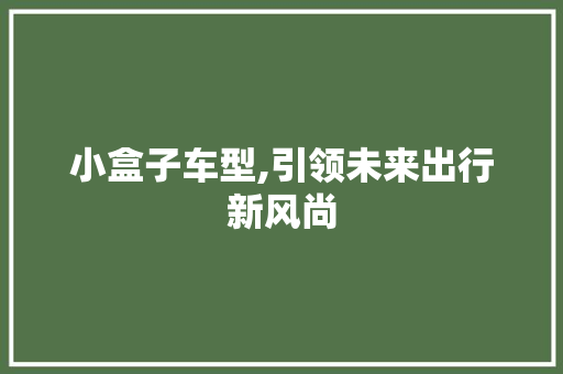 小盒子车型,引领未来出行新风尚