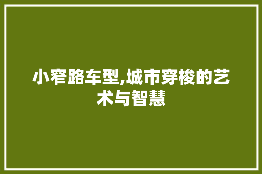 小窄路车型,城市穿梭的艺术与智慧