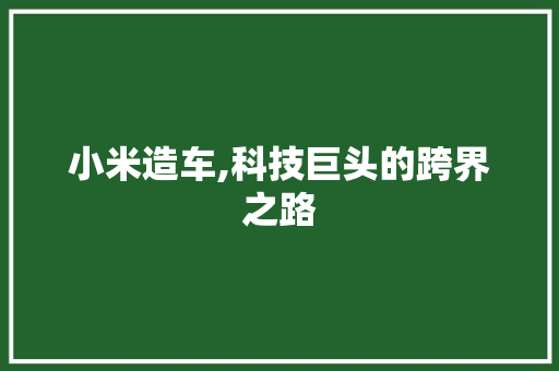 小米造车,科技巨头的跨界之路