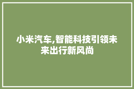 小米汽车,智能科技引领未来出行新风尚