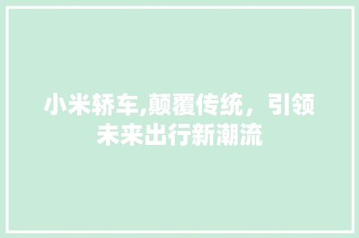 小米轿车,颠覆传统，引领未来出行新潮流