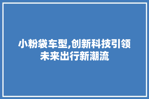 小粉袋车型,创新科技引领未来出行新潮流