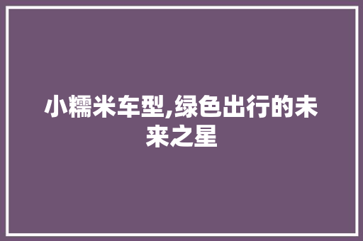 小糯米车型,绿色出行的未来之星
