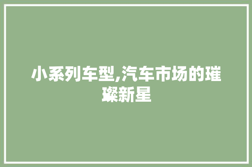 小系列车型,汽车市场的璀璨新星