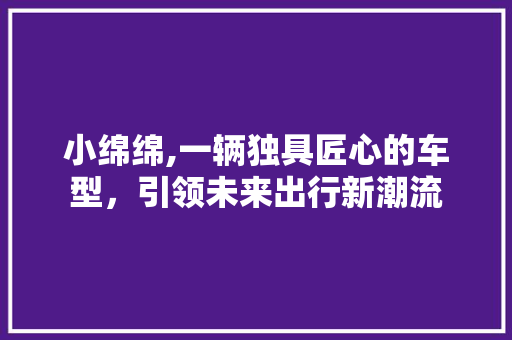 小绵绵,一辆独具匠心的车型，引领未来出行新潮流