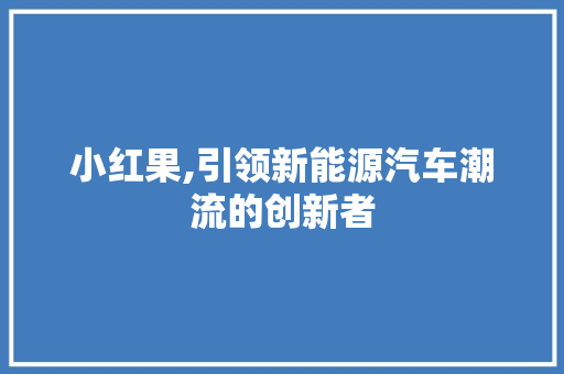 小红果,引领新能源汽车潮流的创新者