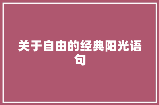 小老板,城市出行新宠，引领绿色生活新风尚