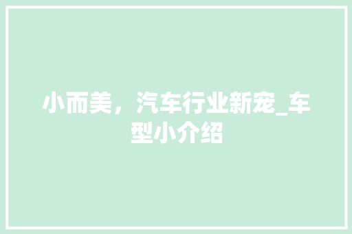 小而美，汽车行业新宠_车型小介绍