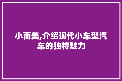 小而美,介绍现代小车型汽车的独特魅力