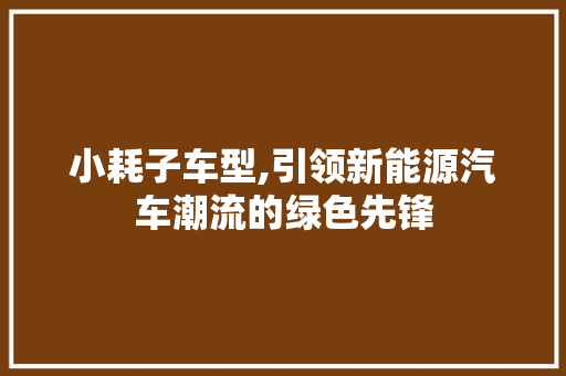 小耗子车型,引领新能源汽车潮流的绿色先锋