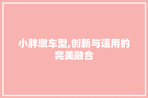 小胖墩车型,创新与适用的完美融合