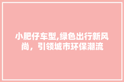 小肥仔车型,绿色出行新风尚，引领城市环保潮流