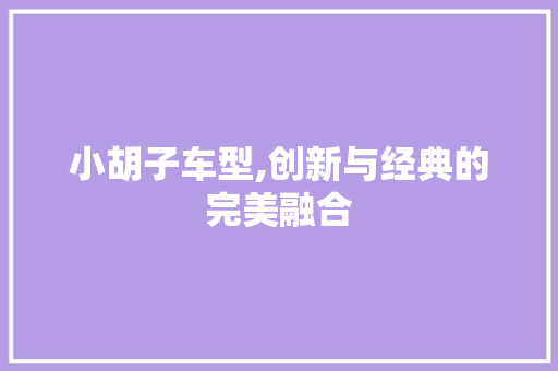 小胡子车型,创新与经典的完美融合
