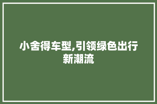 小舍得车型,引领绿色出行新潮流