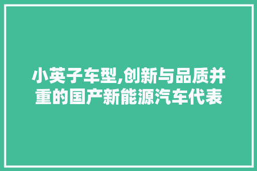 小英子车型,创新与品质并重的国产新能源汽车代表