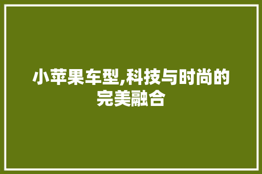 小苹果车型,科技与时尚的完美融合