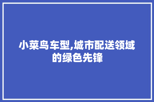 小菜鸟车型,城市配送领域的绿色先锋