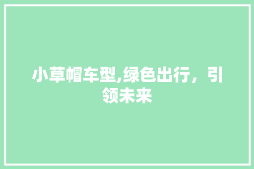 小草帽车型,绿色出行，引领未来