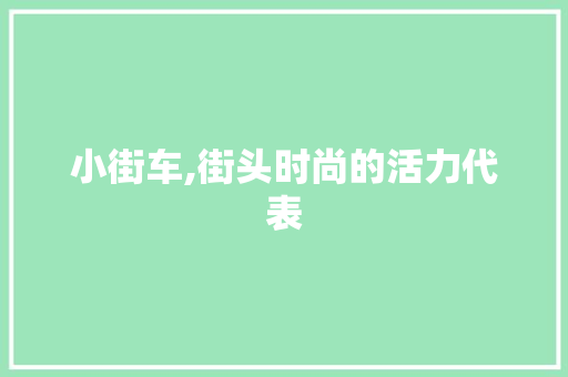 小街车,街头时尚的活力代表