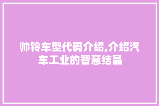 帅铃车型代码介绍,介绍汽车工业的智慧结晶