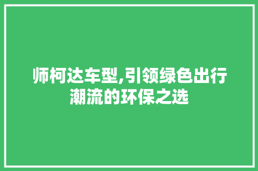 师柯达车型,引领绿色出行潮流的环保之选