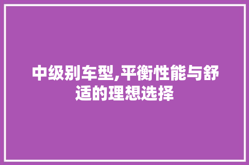 中级别车型,平衡性能与舒适的理想选择
