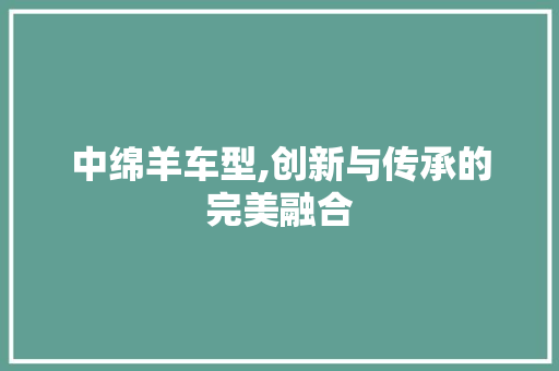 中绵羊车型,创新与传承的完美融合
