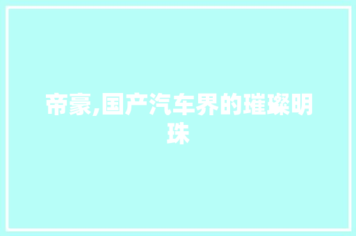 帝豪,国产汽车界的璀璨明珠