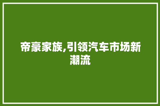 帝豪家族,引领汽车市场新潮流