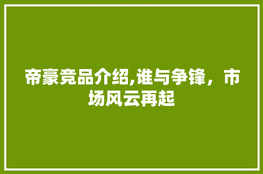 帝豪竞品介绍,谁与争锋，市场风云再起