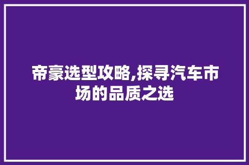 帝豪选型攻略,探寻汽车市场的品质之选