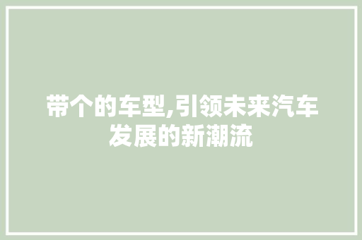 带个的车型,引领未来汽车发展的新潮流