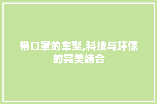带口罩的车型,科技与环保的完美结合