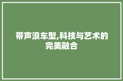 带声浪车型,科技与艺术的完美融合