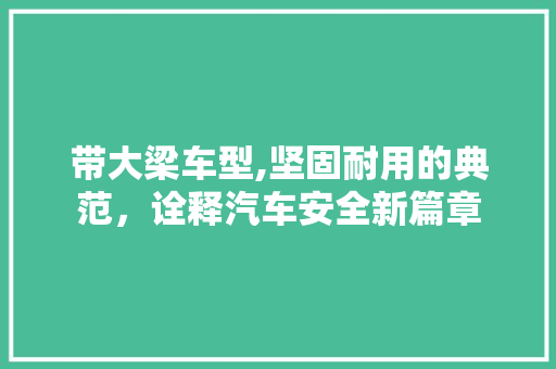 带大梁车型,坚固耐用的典范，诠释汽车安全新篇章