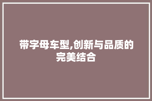 带字母车型,创新与品质的完美结合