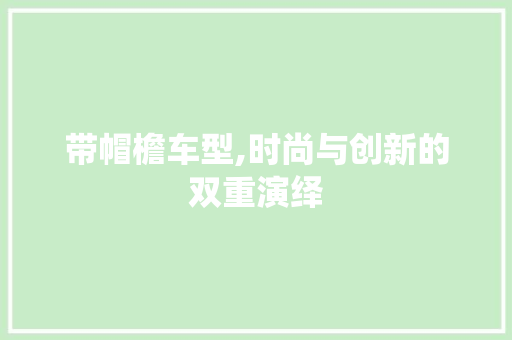 带帽檐车型,时尚与创新的双重演绎