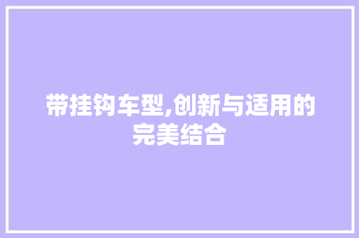 带挂钩车型,创新与适用的完美结合
